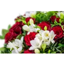 Bouquet of roses with freesia